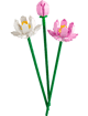 Lotus Flowers