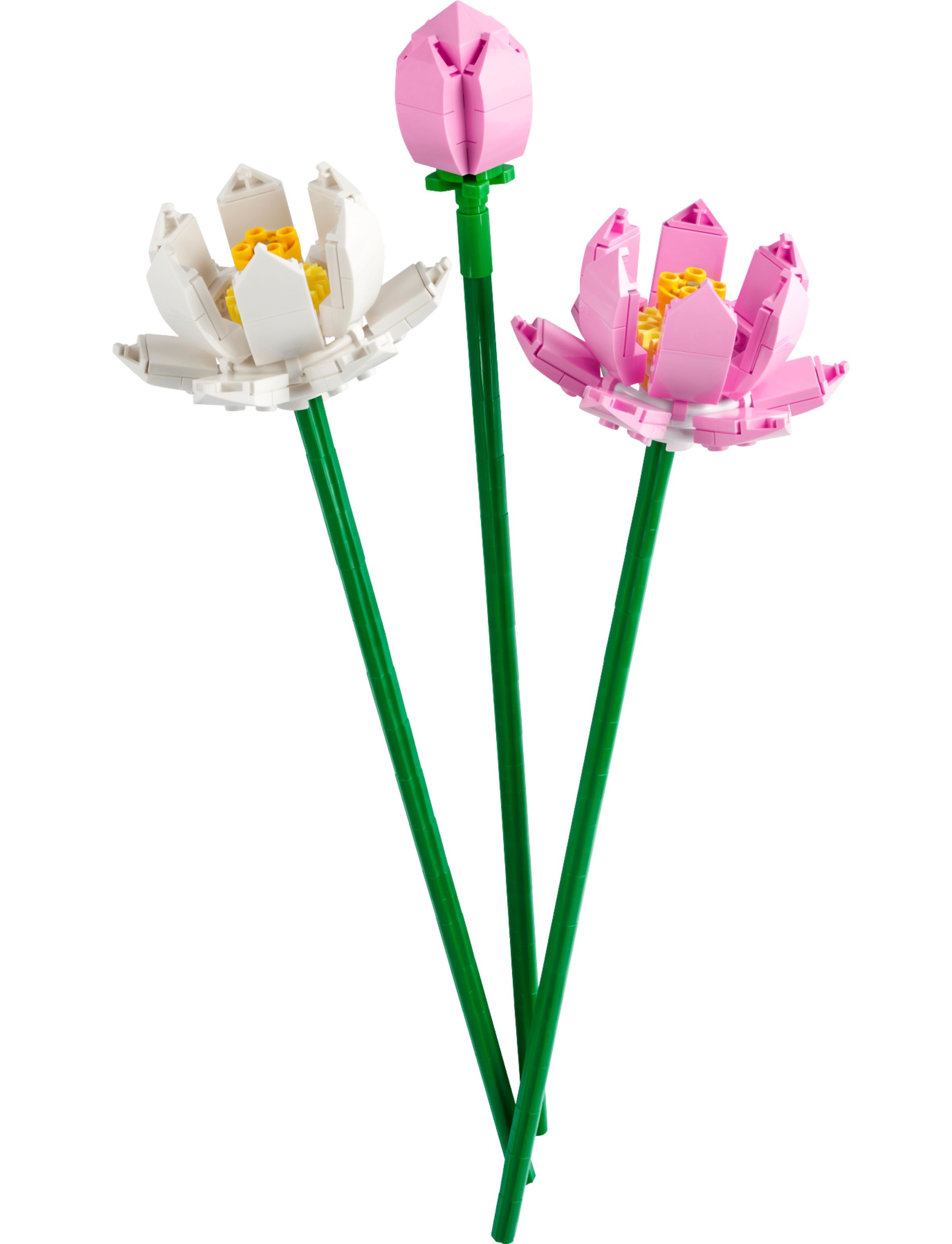 Fiori Di Loto Secchi Naturali Per Decorazioni, Confezione Da 35 Pezzi, 4-6 Cm, Marrone Scuro