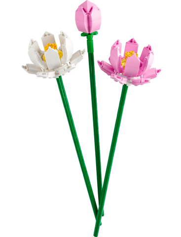 Fiori di loto — set LEGO 40647