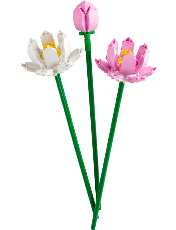 LEGO 40647 Les fleurs de lotus