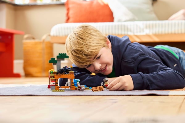 LEGO 21269 L’expédition dans la mine du tatou — visuel 7 sur 8