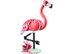 Wild Animals: Pink Flamingo