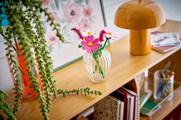 Cosmos Flowers - Image 10