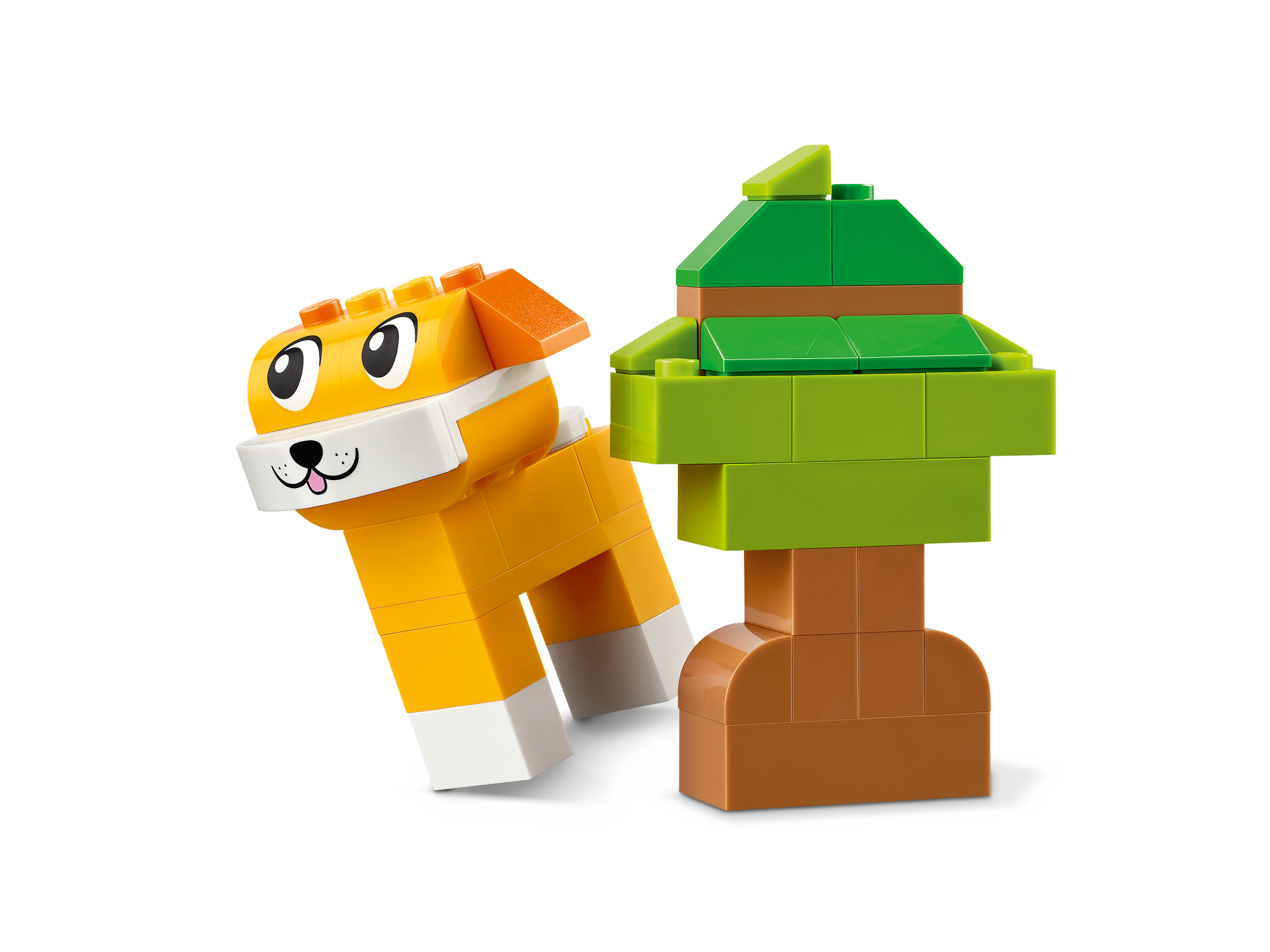 11034_alt9.png?fit=crop&