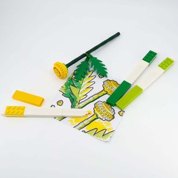 LEGO 5009964 Set créatif – Botanicals — visuel 6 sur 8