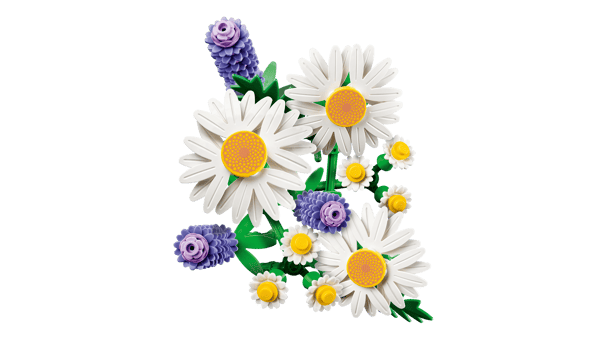 Daisies - Image 8