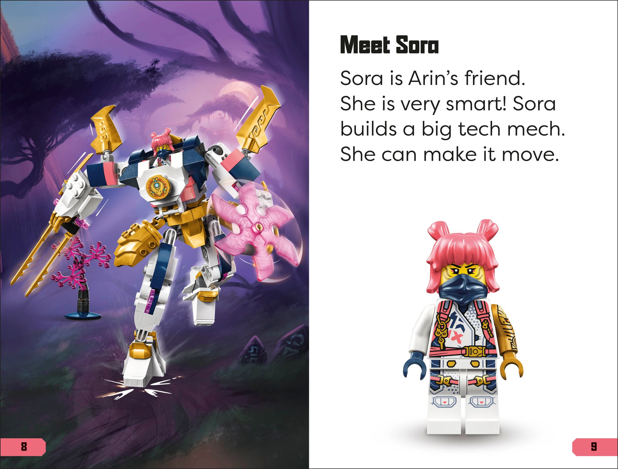 Meet the Ninja (Super Readers Level 1) 5010327 | NINJAGO