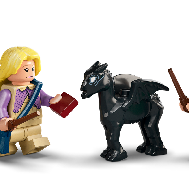 Hogwarts™ Carriage and Thestrals