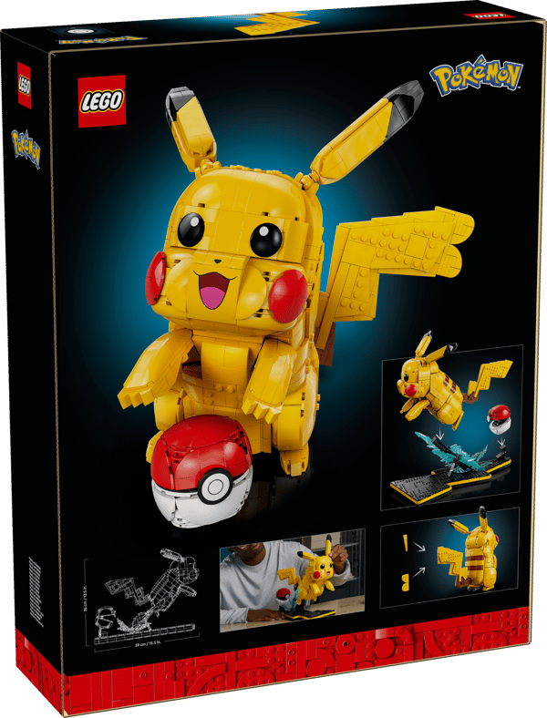 Pikachu and Poké Ball - Image 20