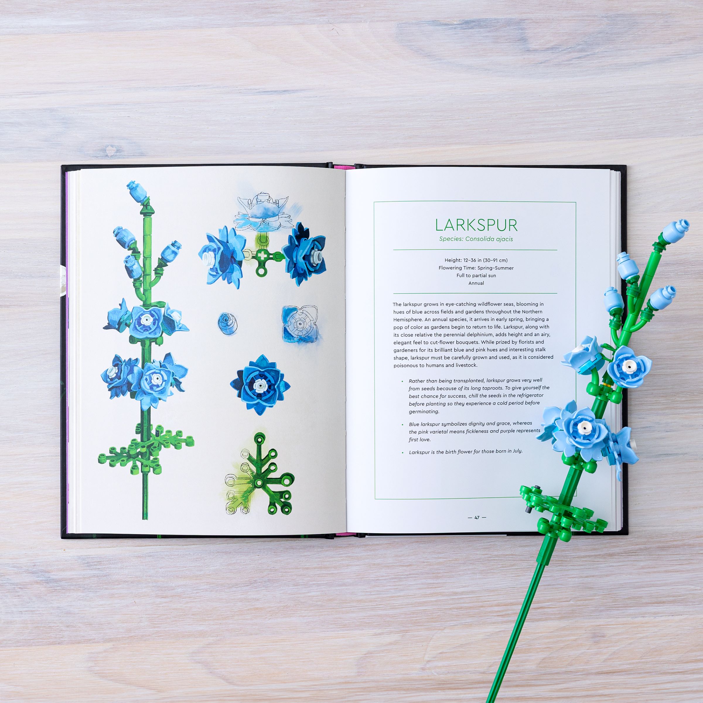 Botanical Almanac 5008877 | The Botanical Collection