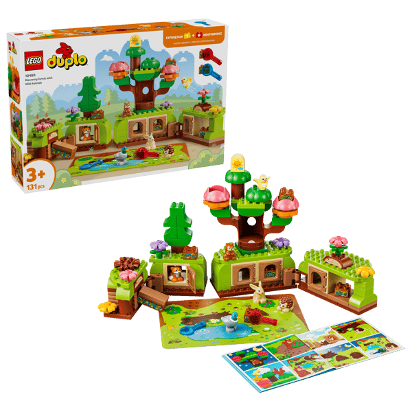 Discovery Forest with Wild Animals - Image 3