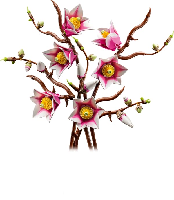 Magnolia-grene