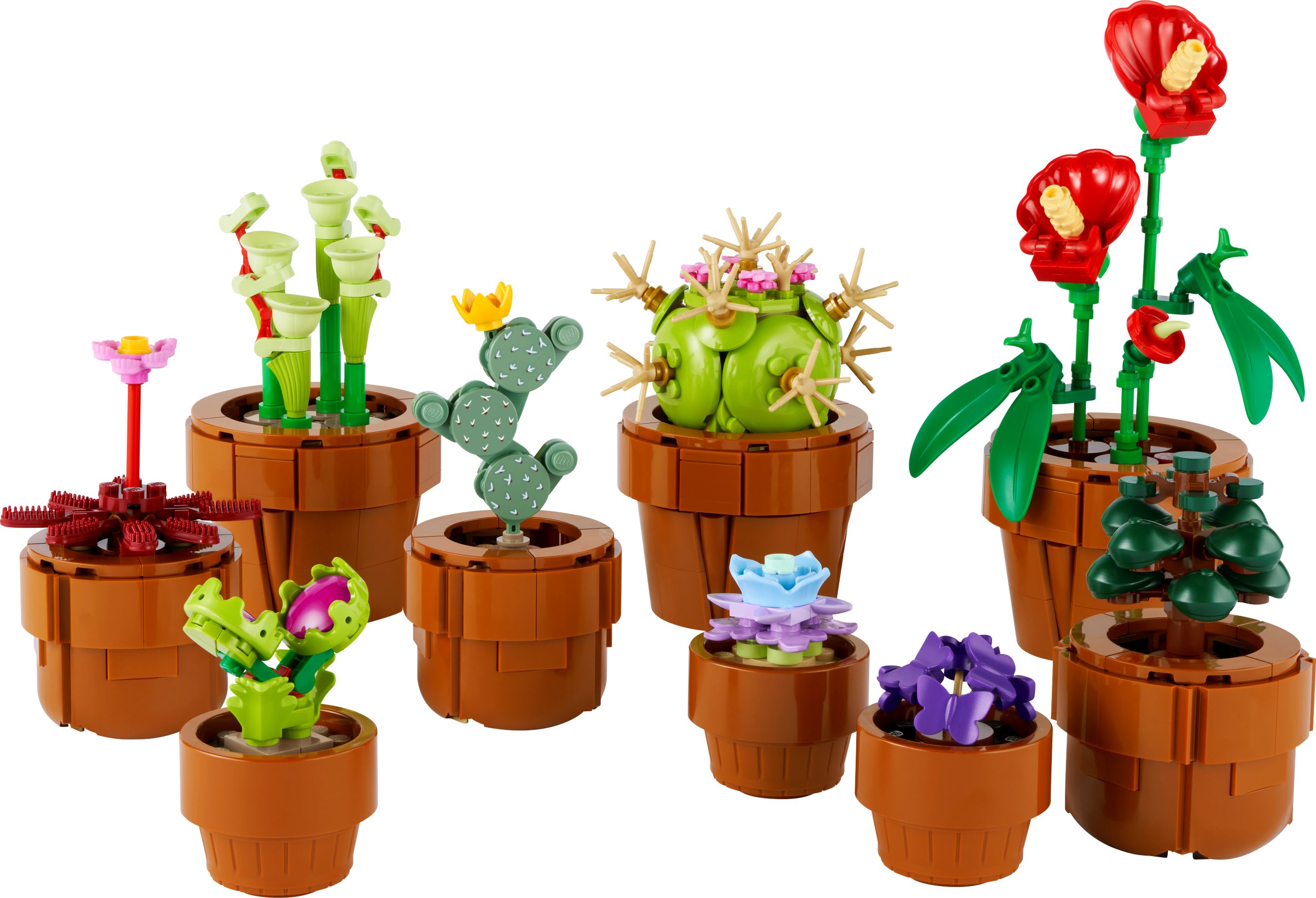 Review LEGO Icons Botanical Collection 10329 Tiny Plants - Brickonaute
