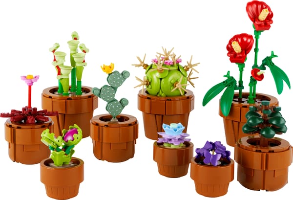 Små planter