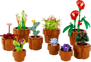 Les plantes miniatures