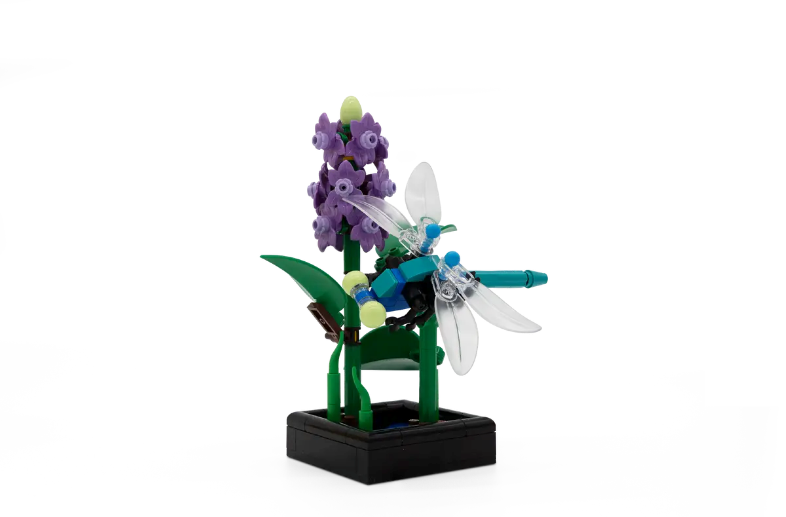 Insiders Dragon Fly Garden 5009934 | UNKNOWN | Buy online at the