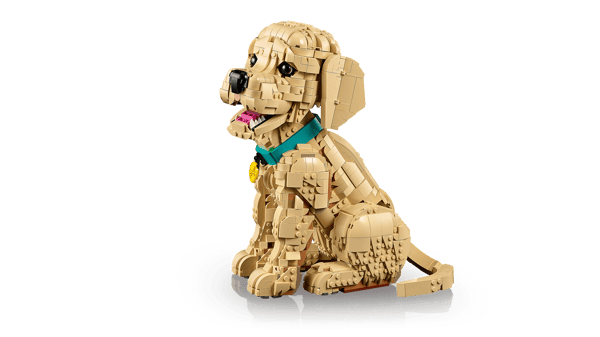 LEGO 11384 Le chiot Golden Retriever — visuel 7 sur 8