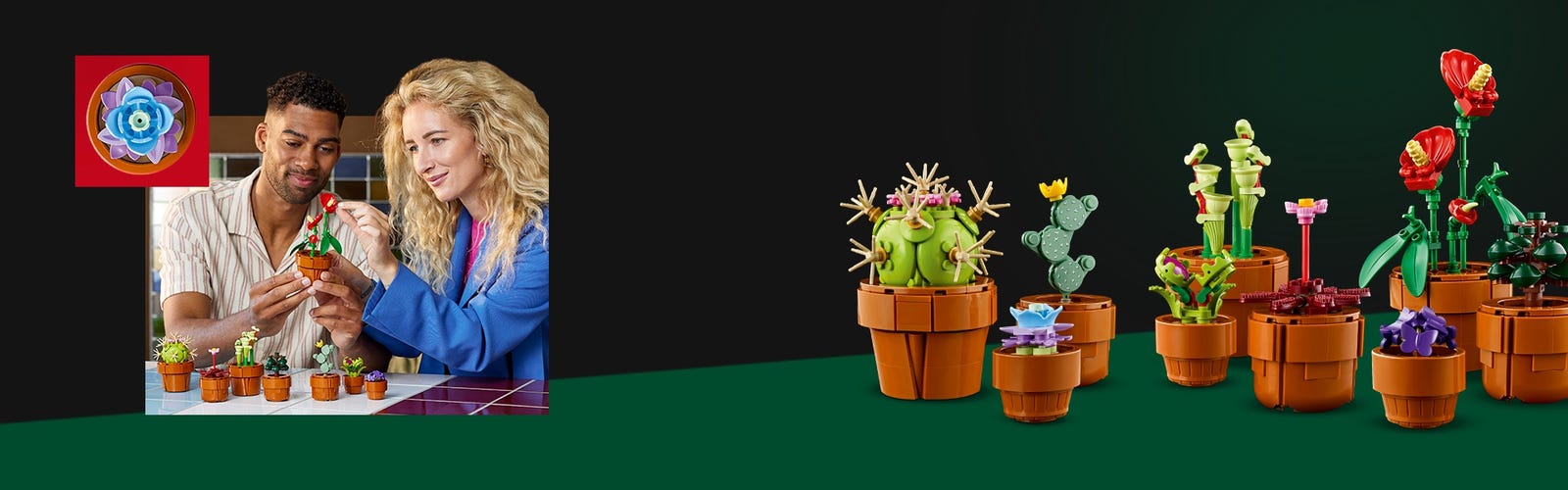 LEGO'S Tiny Plants Set Has Cacti and Jade Plants for $49.99