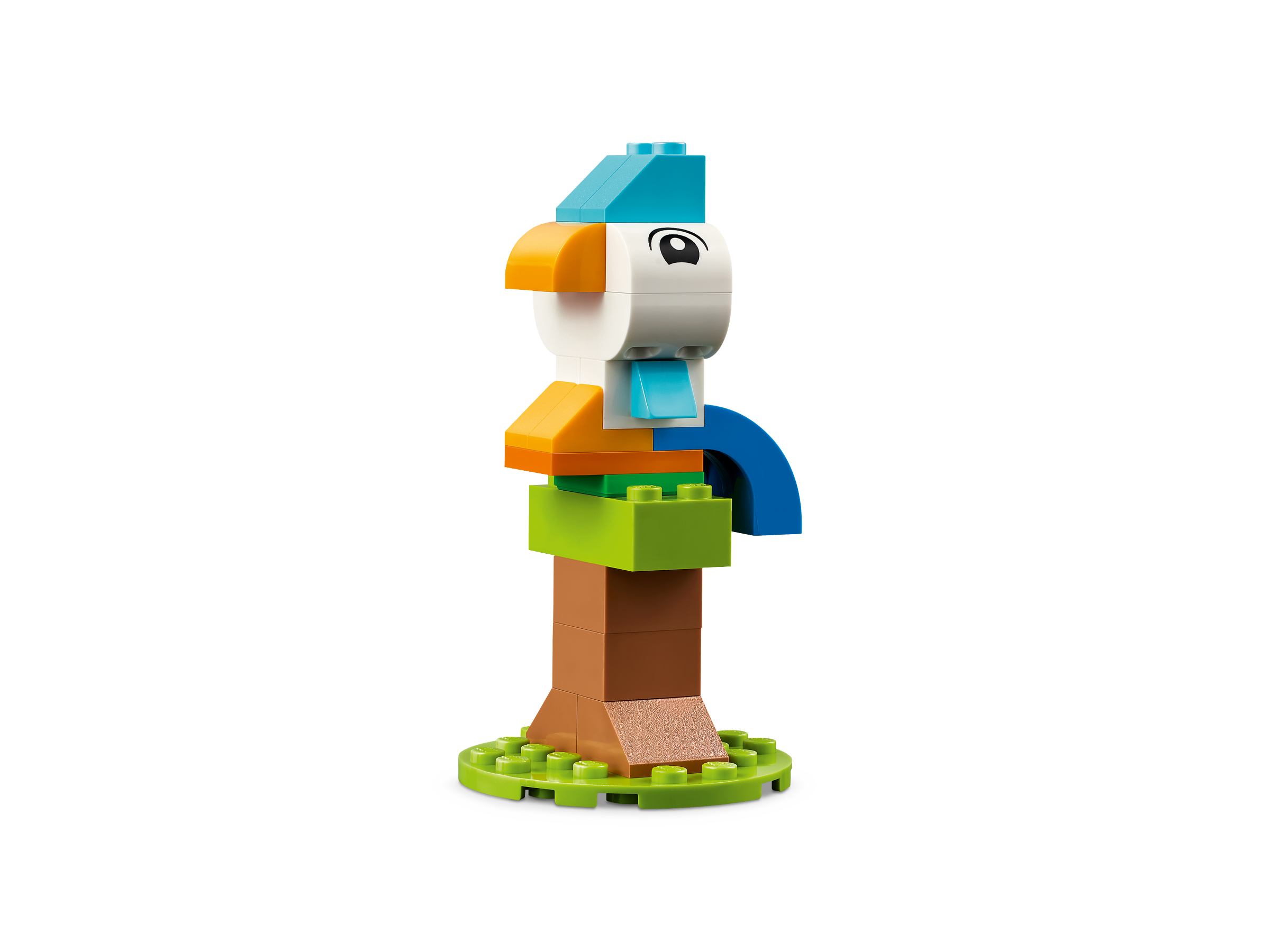 11034_alt7.png?fit=crop&