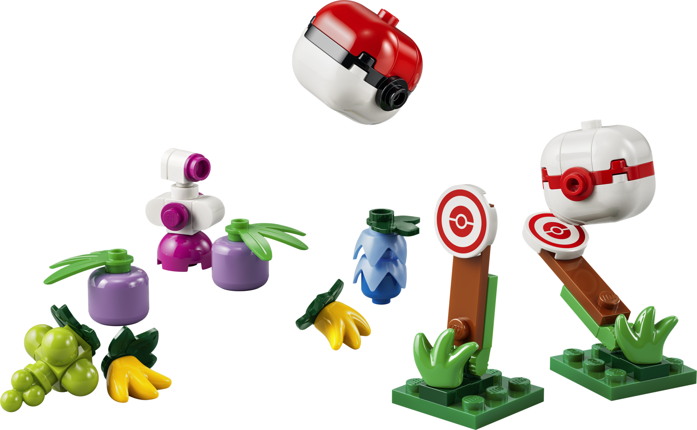 Trainer Supplies