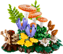 Woodland Mushrooms