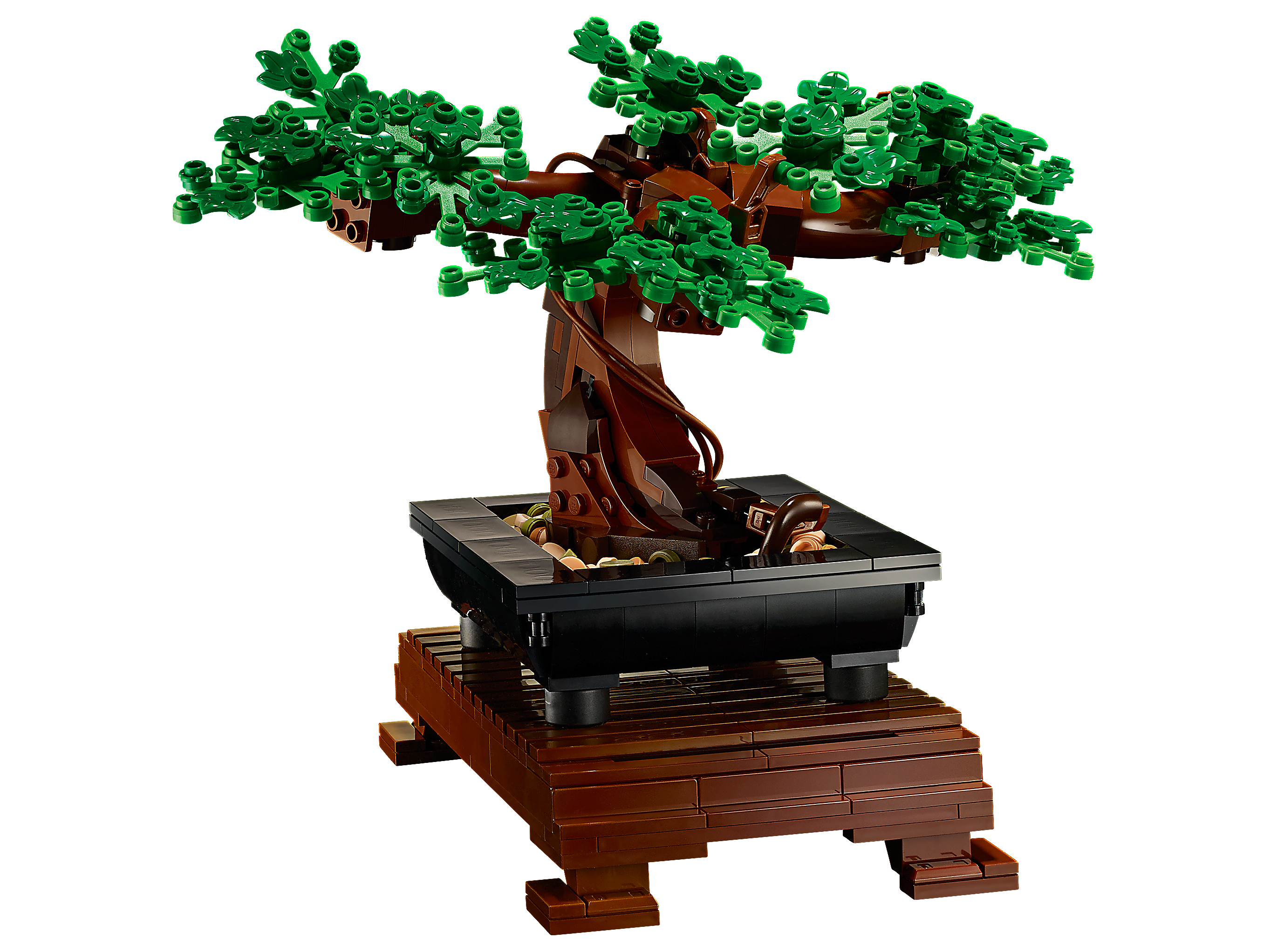 Lego Juego de 2 unidades: árbol bonsái 10281 y flor de ave del paraíso  10289 : : Otros Productos