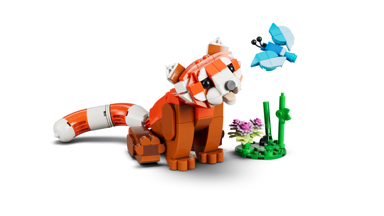 Cute Animals: Red Panda - Image 5