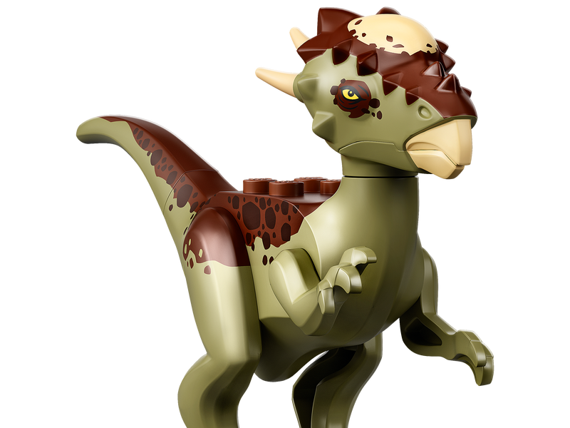 Xuncsyqfg Ksnm Xuncsyqfg Ksnm