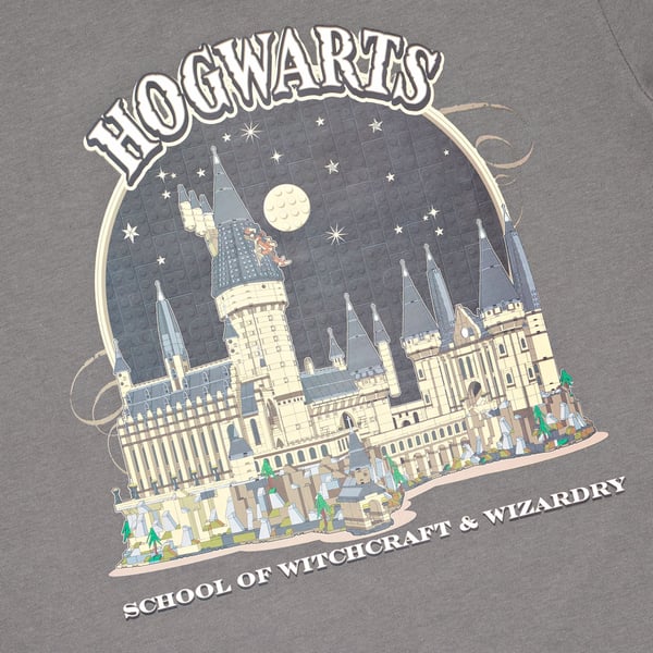 LEGO 5008033 T-shirt Harry Potter™ – Gris — visuel 5 sur 7