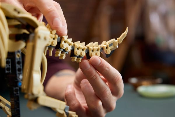 Dinosaur Fossils: Triceratops - Image 12