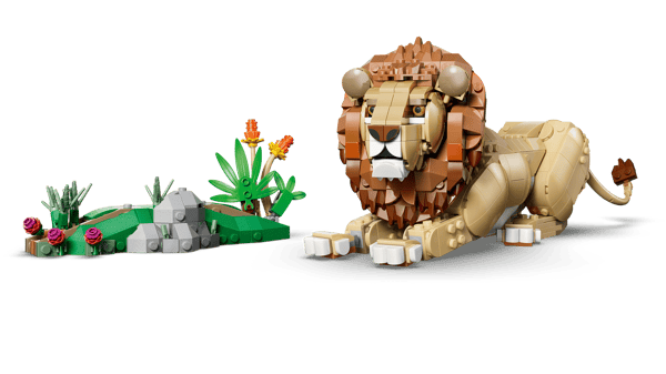 Wild Animals: Majestic Lion - Image 10