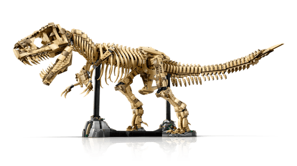 LEGO 76968 Les fossiles de dinosaures : le Tyrannosaurus rex — visuel 3 sur 8