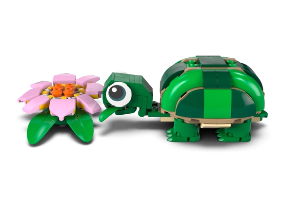 Turtle with a Water Lily Flower - Image 4