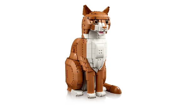 LEGO 21376 Le chat roux — visuel 6 sur 8