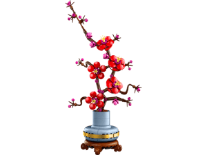 Les fleurs de prunier