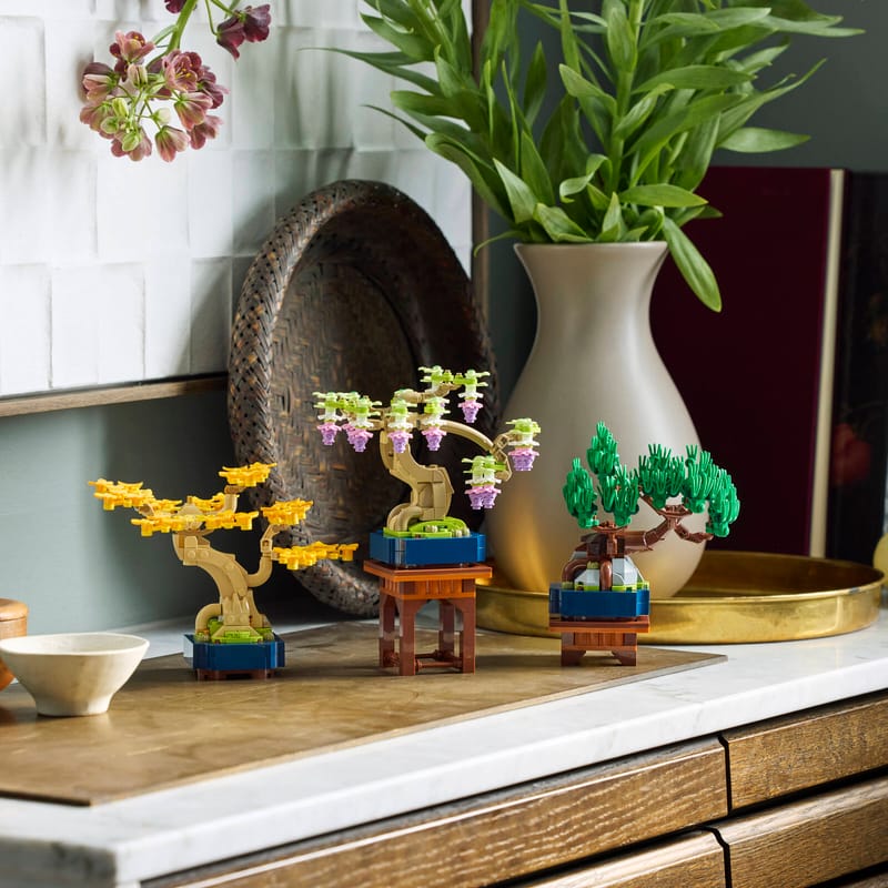 Mini Bonsai Trees 10373 The Botanical Collection Buy online at