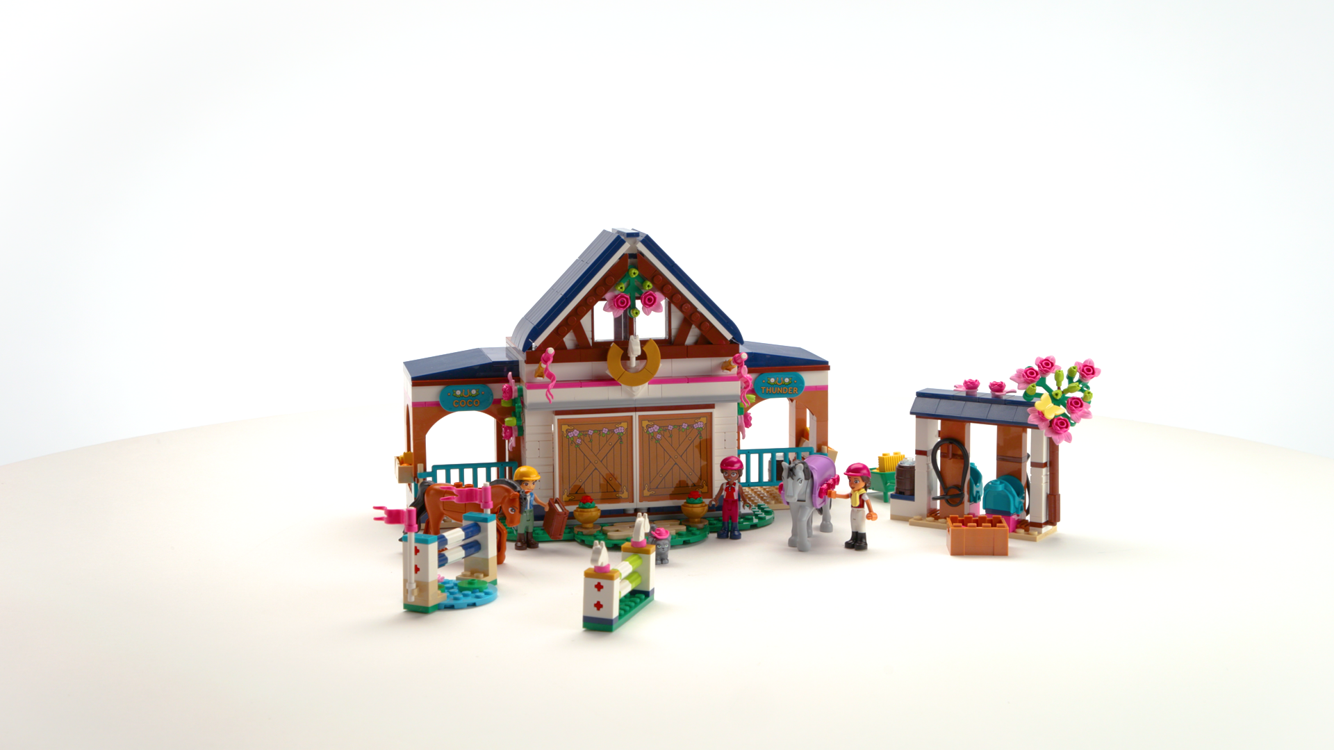 Horse Stable and Riding Academy - Image 4