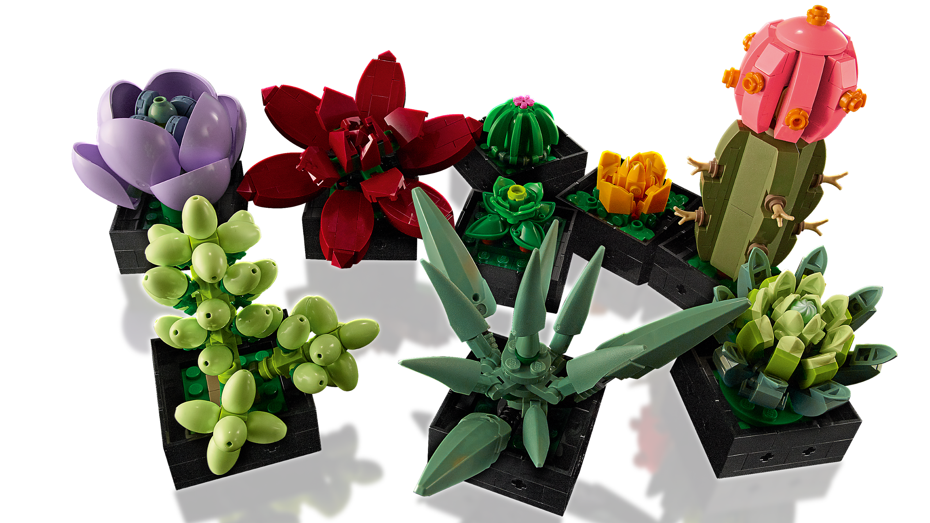 Succulents 10309, LEGO® Icons