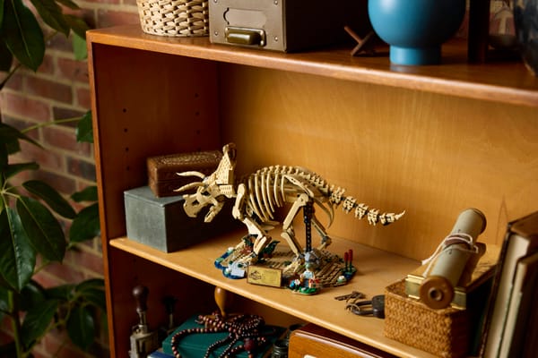 Dinosaur Fossils: Triceratops - Image 18