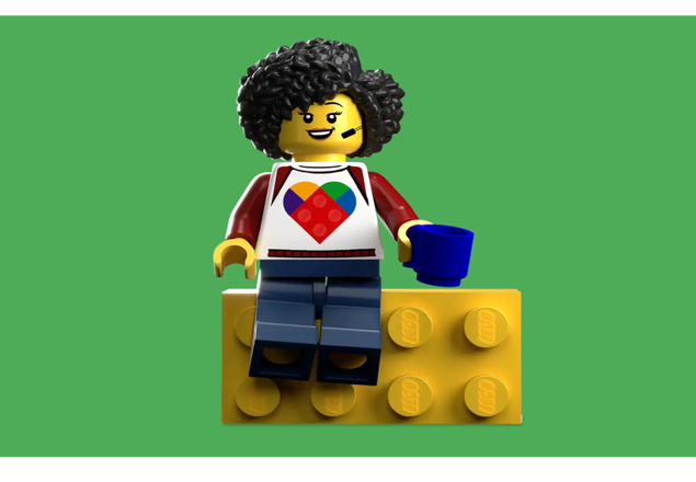 Pick and Build LEGO®, Mattoncini LEGO