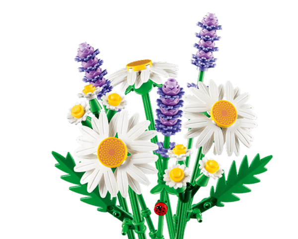 Daisies - Image 1