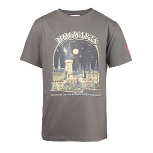 T-shirt Harry Potter™ – Gris