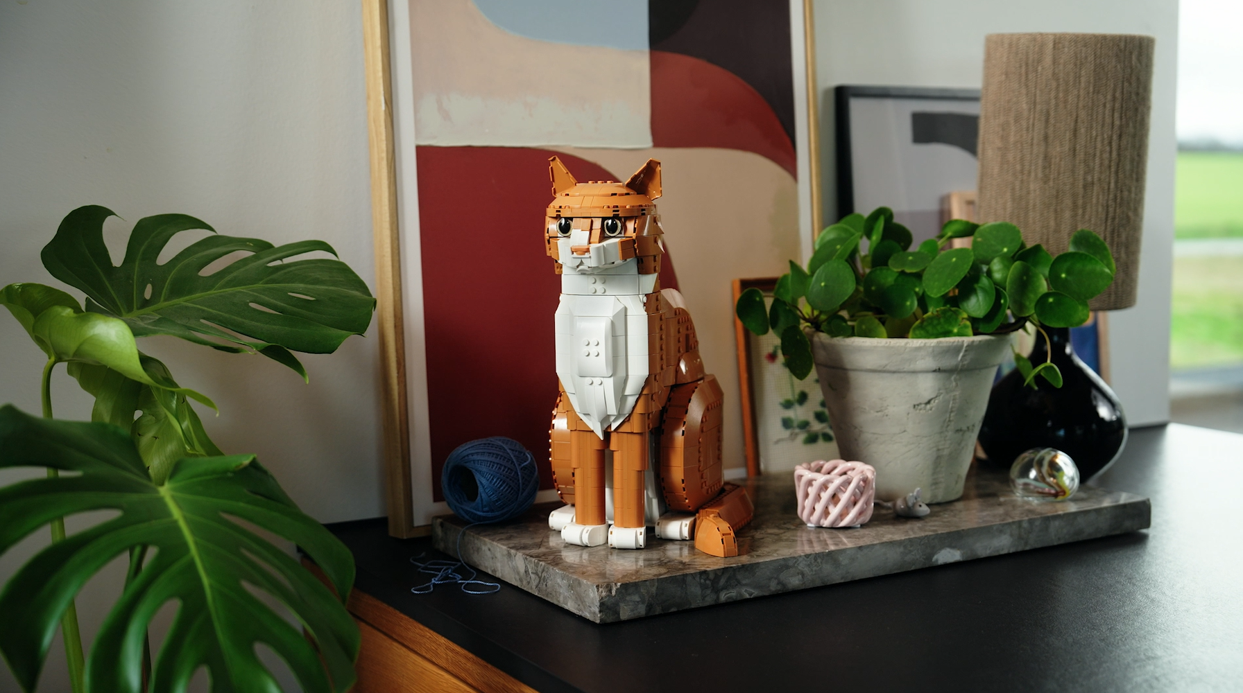 Orange Cat - Image 17
