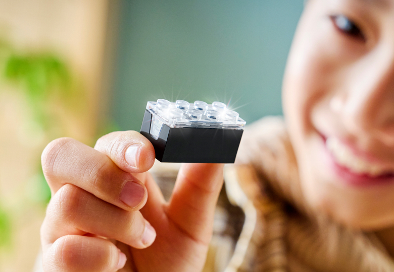 SMART Brick