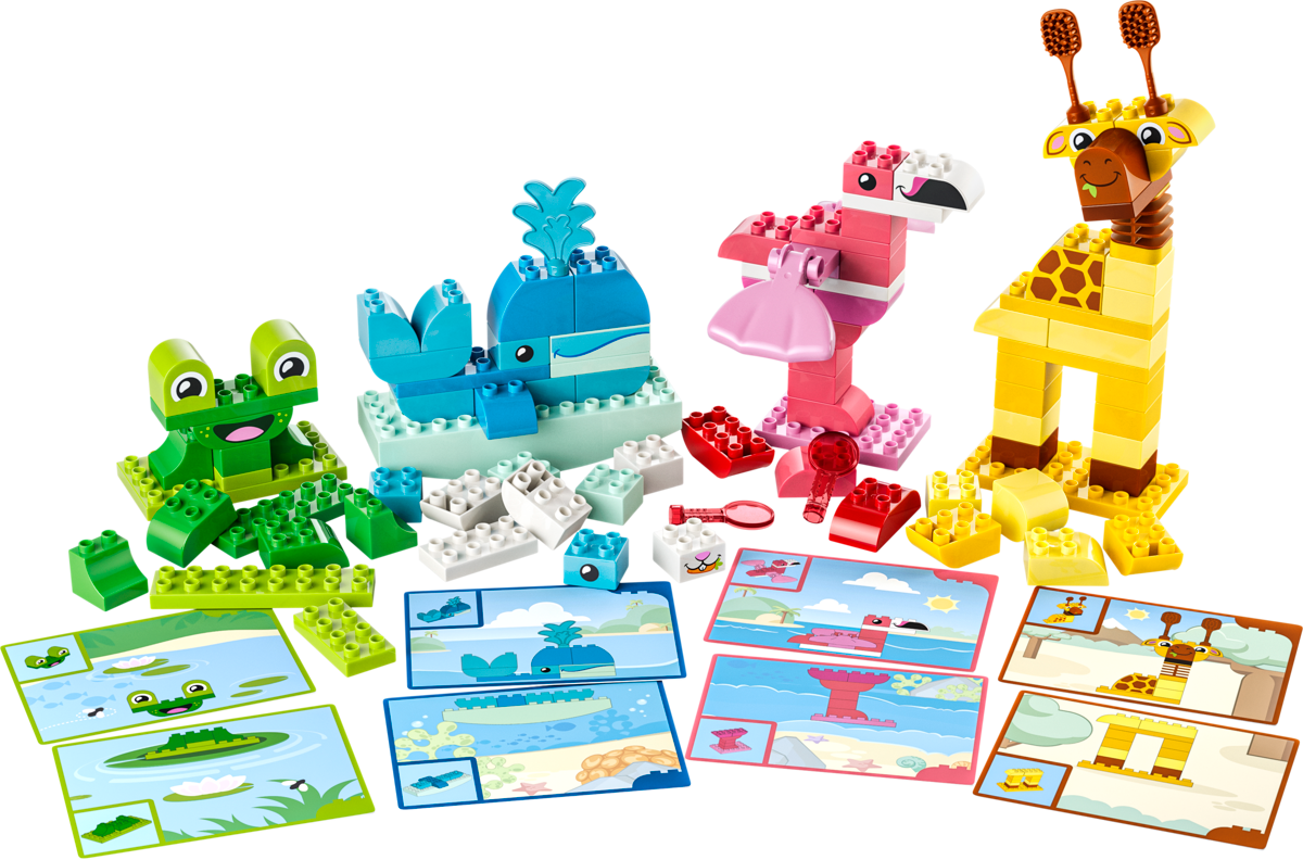Jeu de construction d’animaux — Vue principale