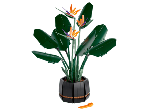 Bird of Paradise — LEGO set 10289