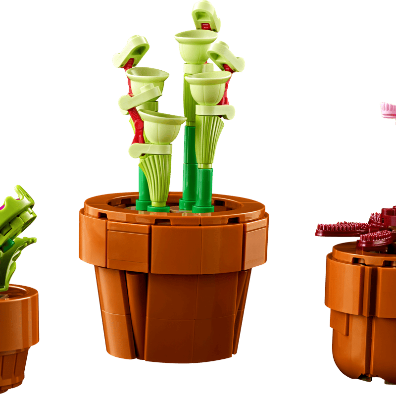 Tiny Plants 10329 The Botanical Collection Buy online at the