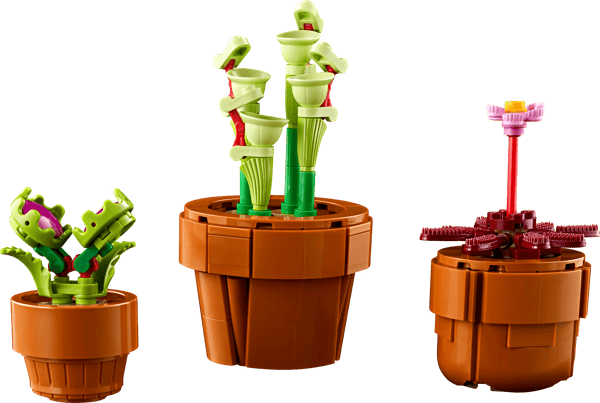 LEGO 10329 Les plantes miniatures — visuel 6 sur 8