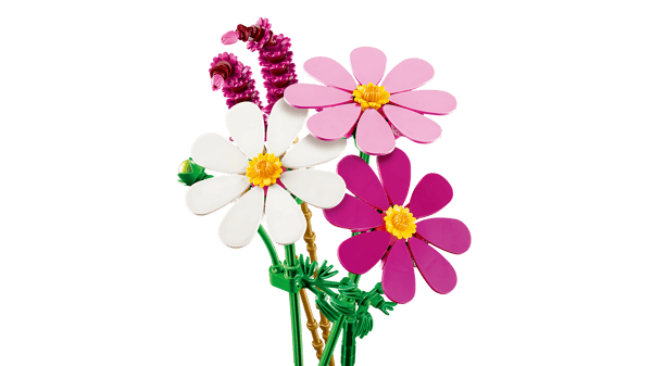 Cosmos Flowers - Image 5