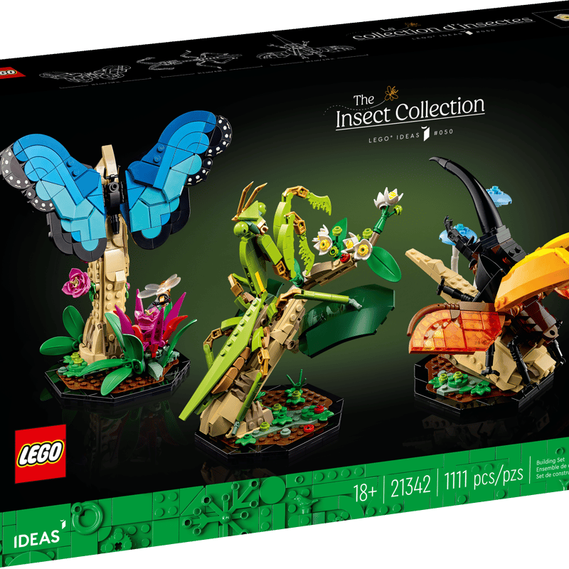 The Insect Collection